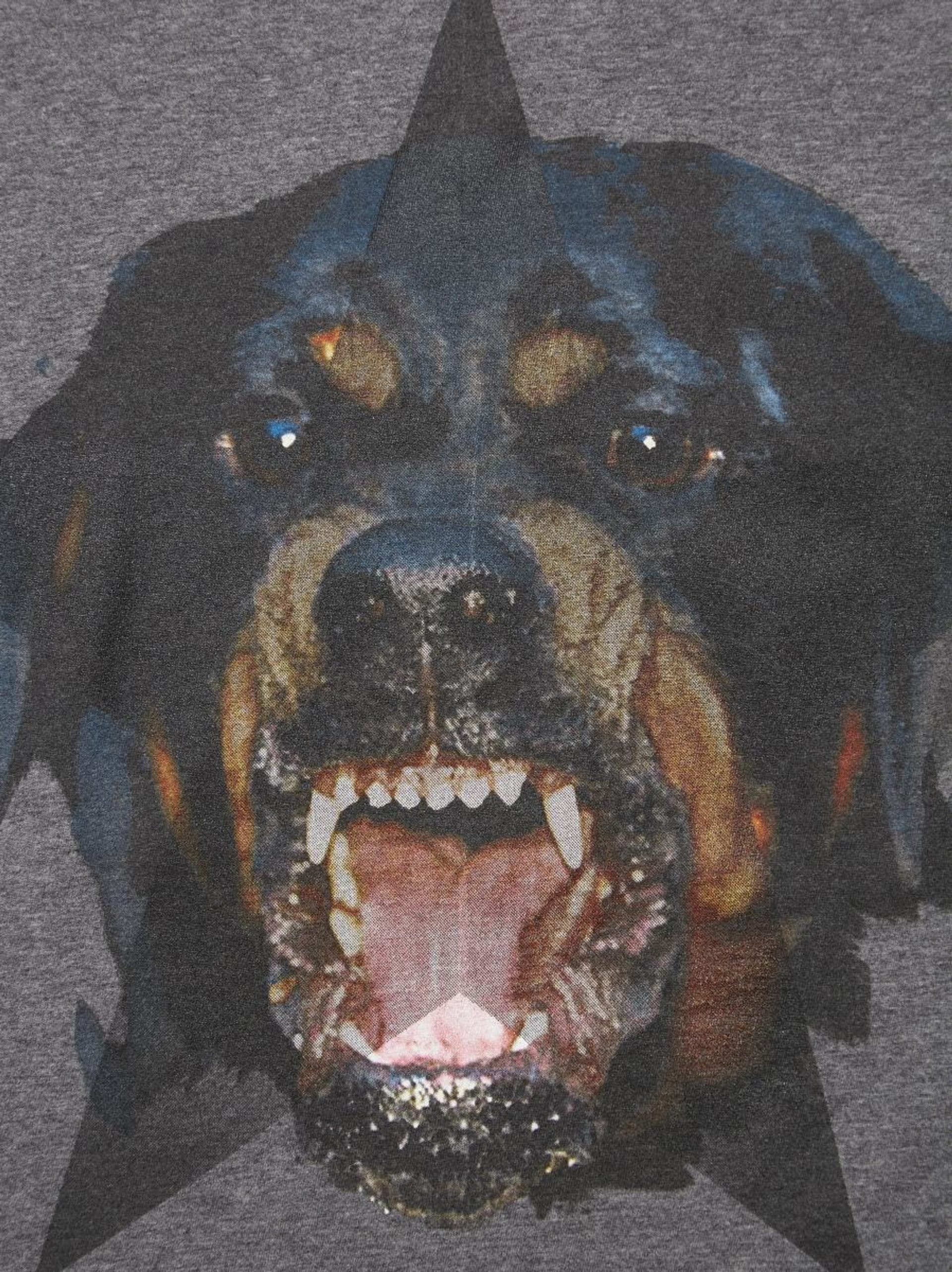 Givenchy rottweiler tee on sale