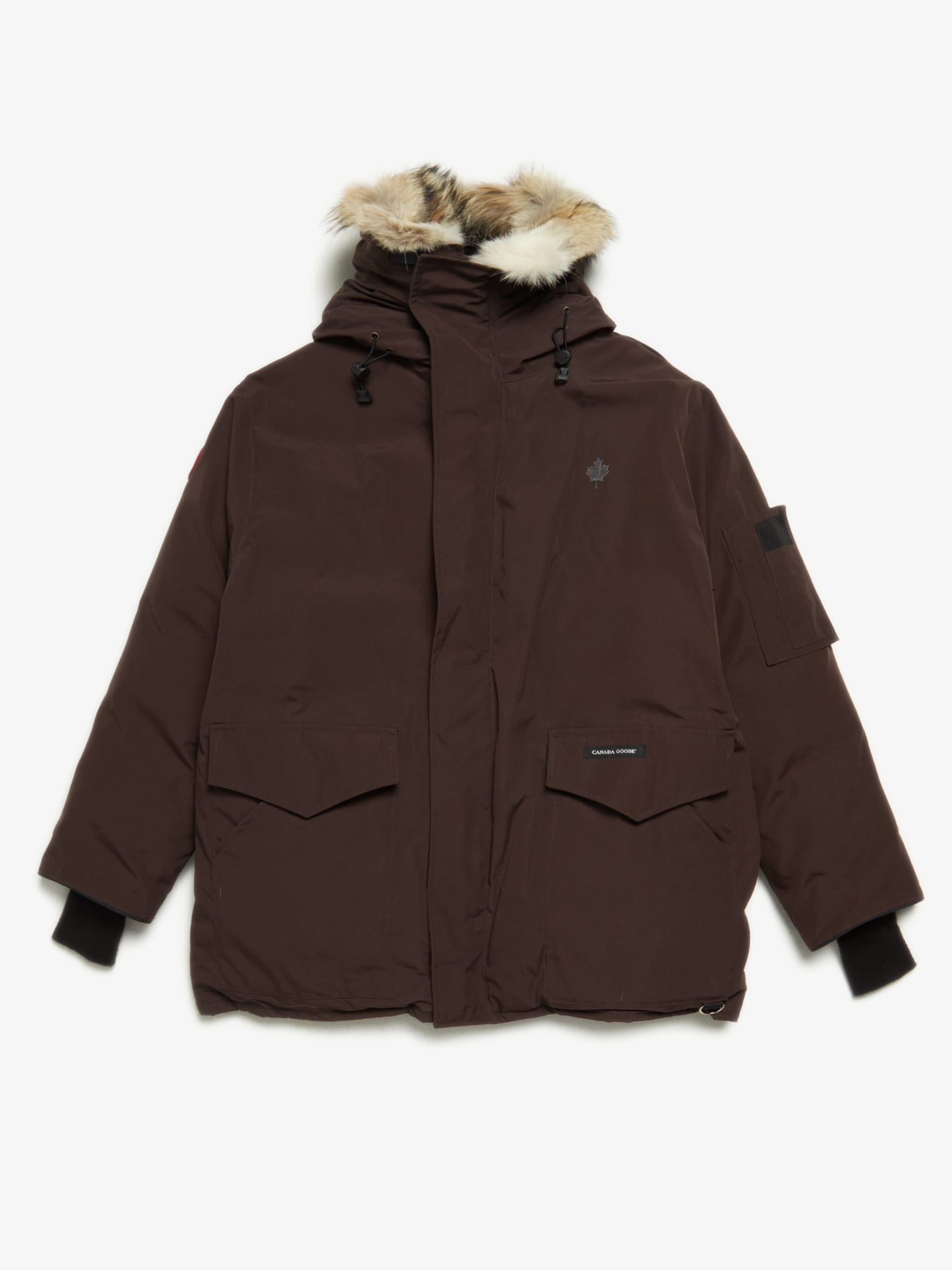 canada goose brown